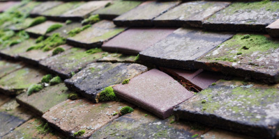 Fitton End roof repair costs